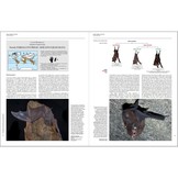 Handbook of the Mammals of the World, Vol. 9: Bats