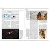 Handbook of the Mammals of the World, Vol. 9: Bats