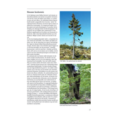 ANWB Bosgids - dieren, planten en paddenstoelen