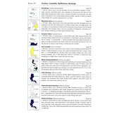 A Guide to the Birds of the Philippines