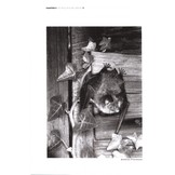 The Bat Workers' Manual