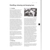 The Bat Workers' Manual