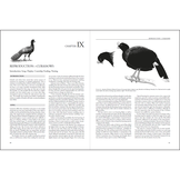 Curassows and Related Birds
