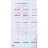 Dragonflies and Damselflies of the East