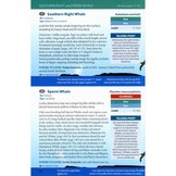 Antarctic Wildlife - A Visitor's Guide to the Wildlife of the Antarctic Peninsula, Drake Passage and Beagle Channel