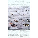Offshore Sea Life ID Guide - East Coast