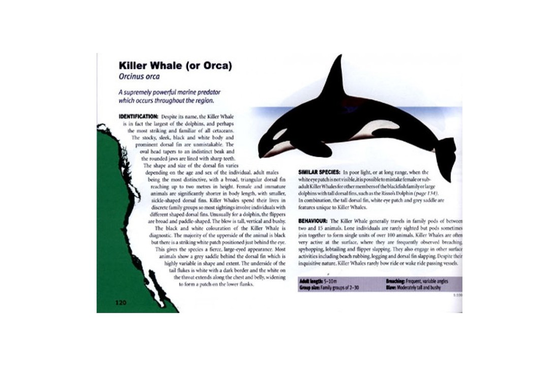 Whales & Dolphins of the North American Pacific - Including Seals and Other Marine Mammals