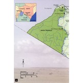 Birds of the Masai Mara