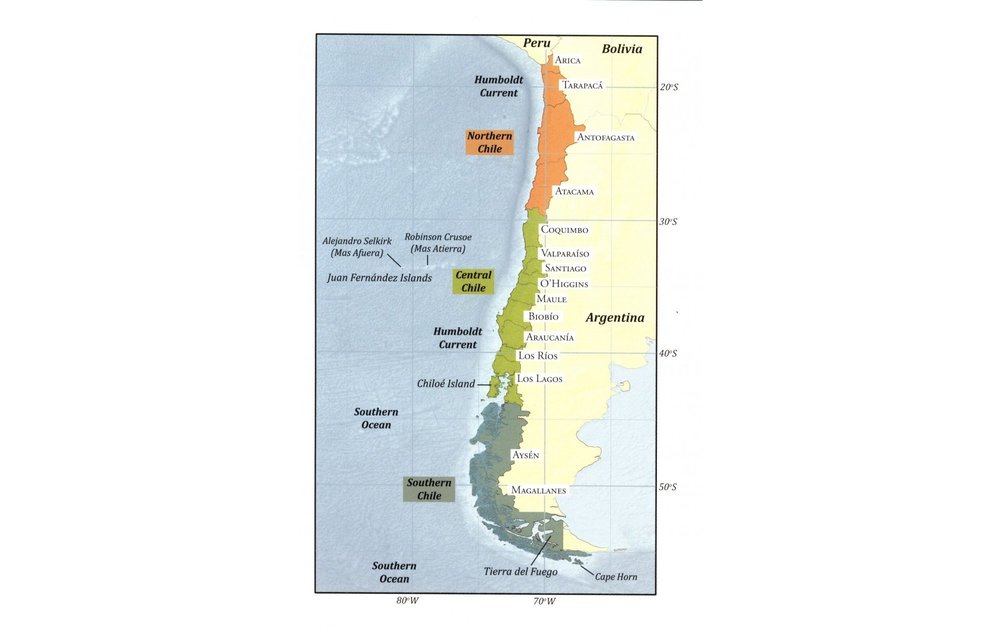 Birds of Chile - A Photo Guide