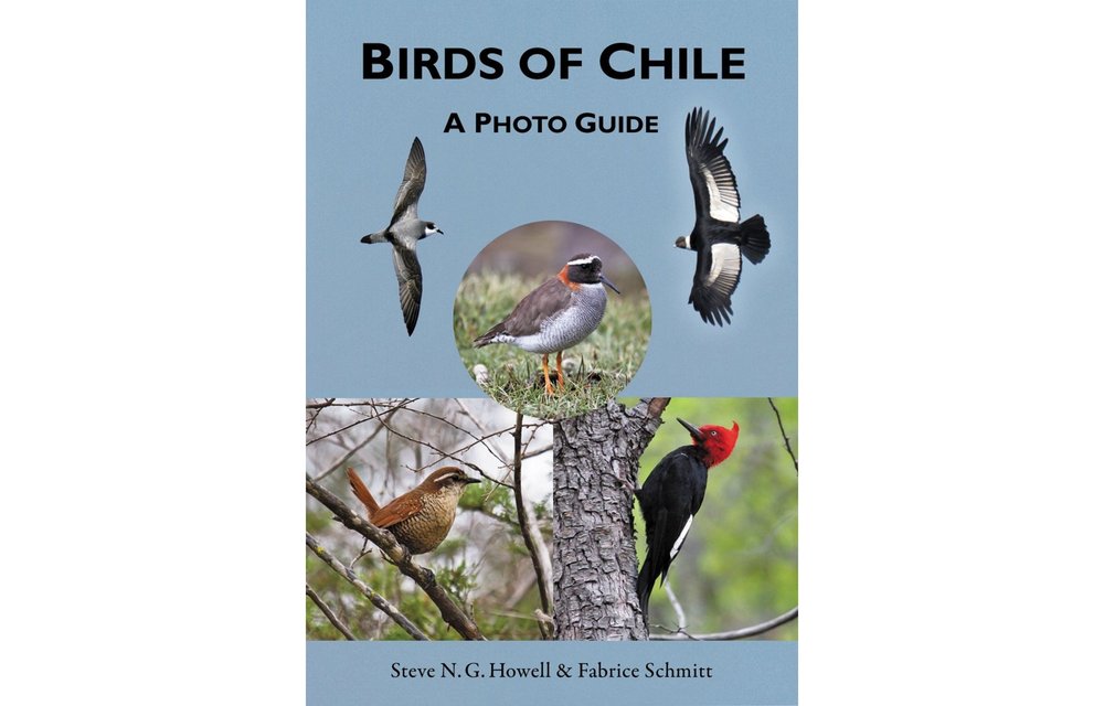 Birds of Chile - A Photo Guide