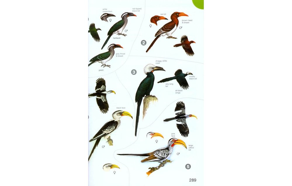 Birds of Africa - South of the Sahara