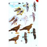 Birds of Africa - South of the Sahara