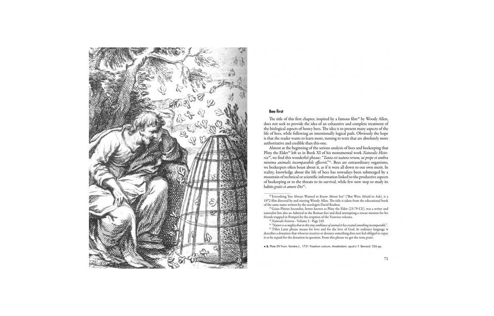 The Joy of Bees - Bees as a model of sustainability and beekeeping as an experience involving nature and human history