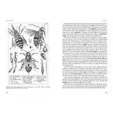 The Joy of Bees - Bees as a model of sustainability and beekeeping as an experience involving nature and human history