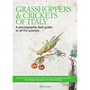 Grasshoppers & Crickets of Italy