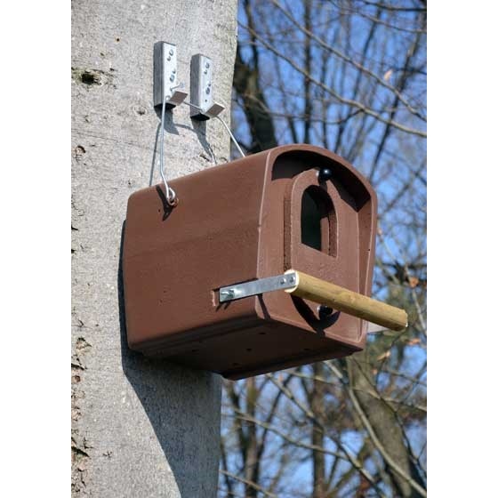 Tawny Owl Box Nr. 30