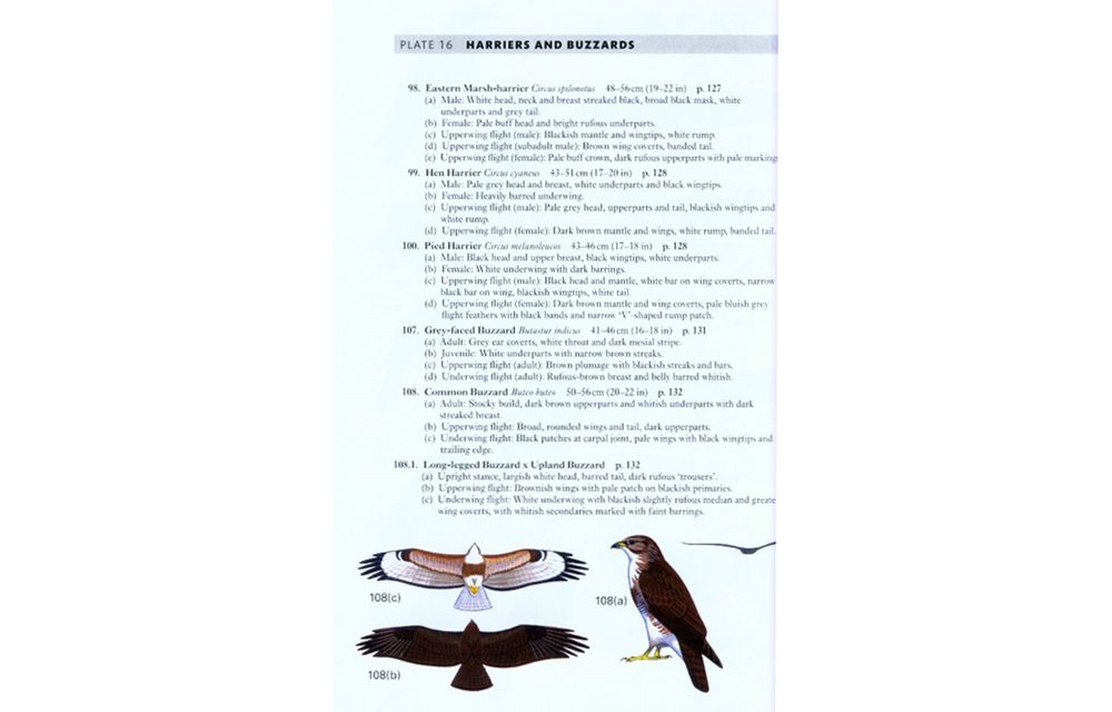A Field Guide to the Birds of Peninsular Malaysia and Singapore