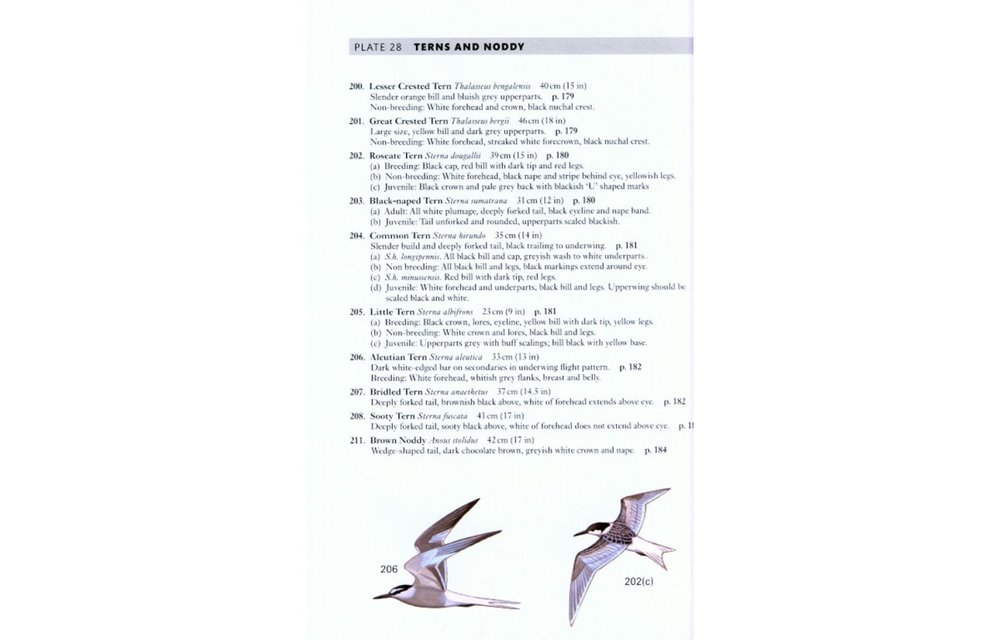 A Field Guide to the Birds of Peninsular Malaysia and Singapore