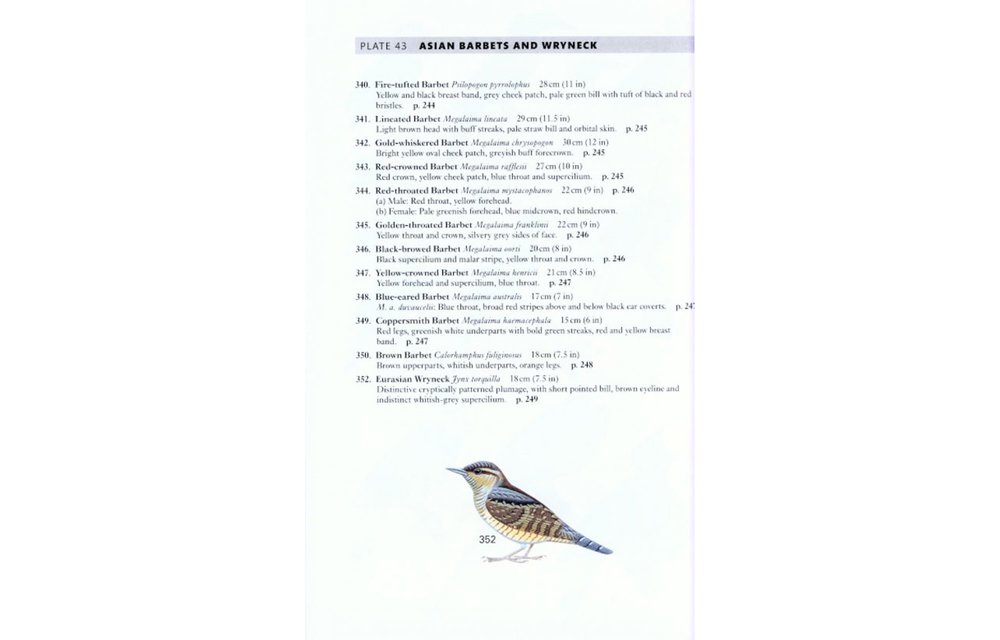 A Field Guide to the Birds of Peninsular Malaysia and Singapore