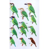 A Field Guide to the Birds of Peninsular Malaysia and Singapore