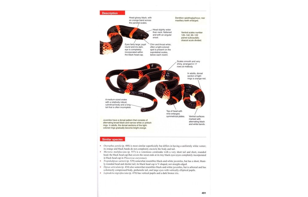 Reptiles of Costa Rica - A Field Guide