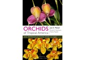 Orchids of Tropical America