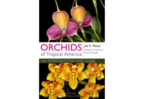 Orchids of Tropical America