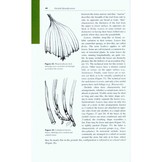 Orchids of Tropical America - An Introduction and Guide