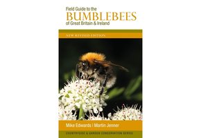 Field Guide to the Bumblebees of Great Britain & Ireland