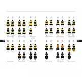 Field Guide to the Bumblebees of Great Britain & Ireland