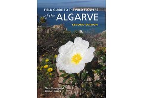 Field Guide to the Wild Flowers of the Algarve