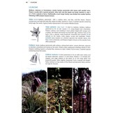 Field Guide to the Wild Flowers of the Algarve  - Second Edition