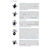 Field Guide to the Wild Flowers of the Algarve  - Second Edition