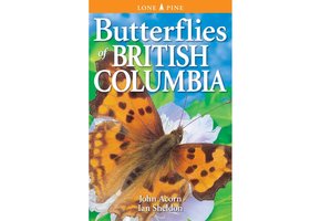 Butterflies of British Columbia