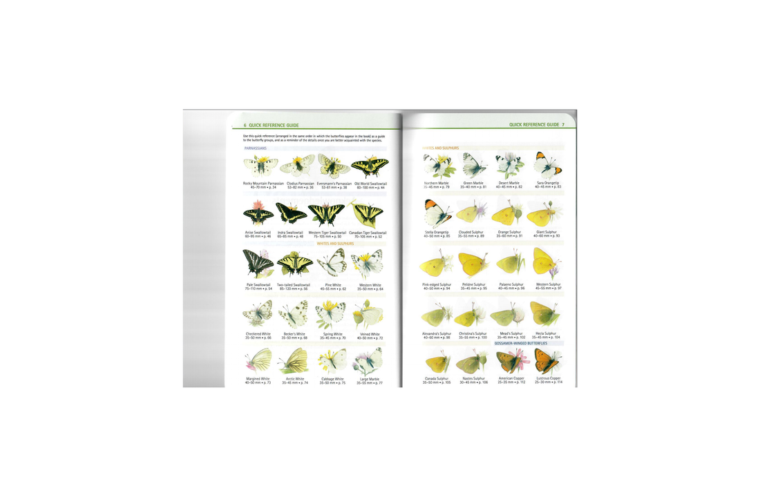 Butterflies of British Columbia