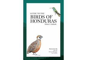 Guide to the Birds of Honduras