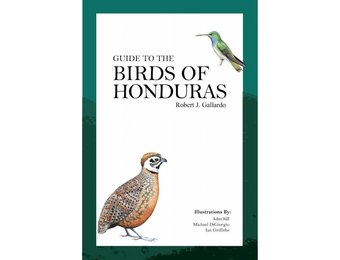 Guide to the Birds of Honduras