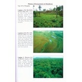 Guide to the Birds of Honduras