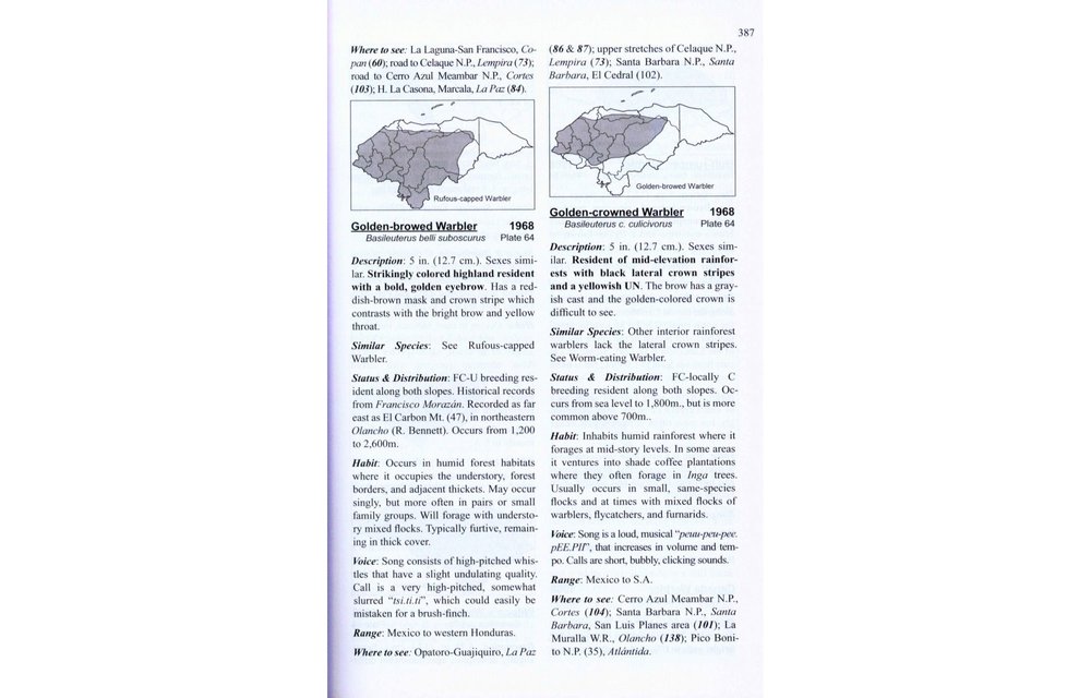Guide to the Birds of Honduras