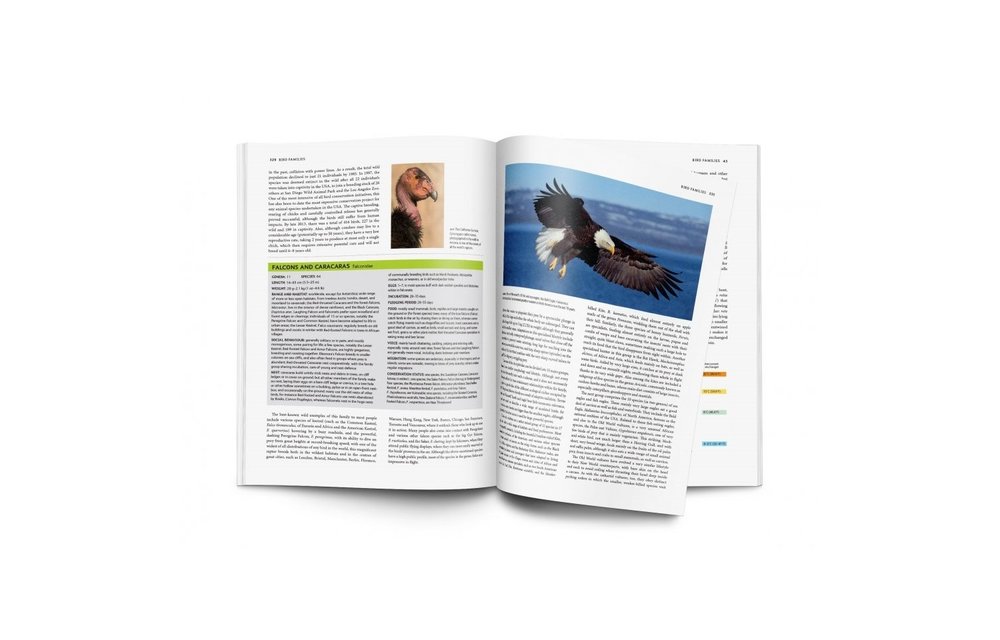 The Handbook of Bird Families