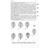 New Flora of the British Isles - Fourth Edition