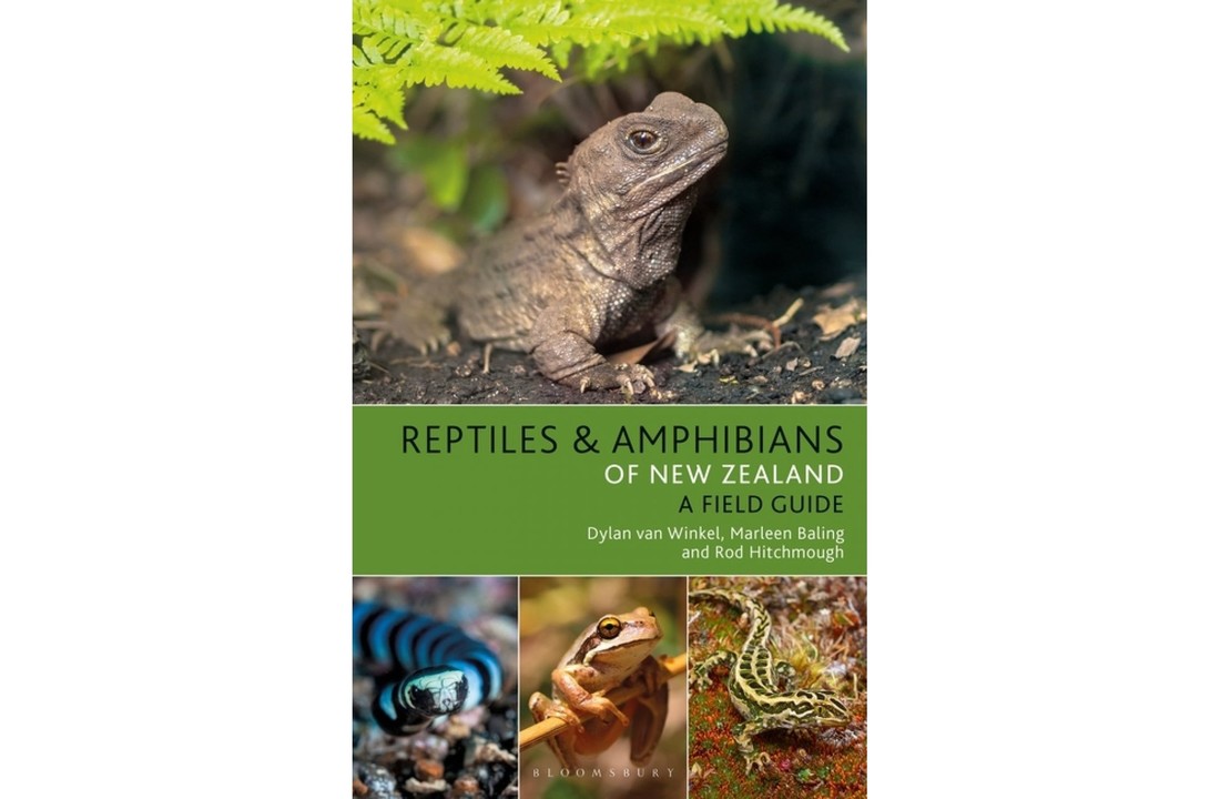 Reptiles & Amphibians of New Zealand - A Field Guide