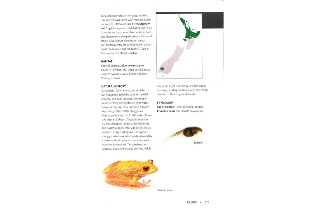Reptiles & Amphibians of New Zealand - A Field Guide