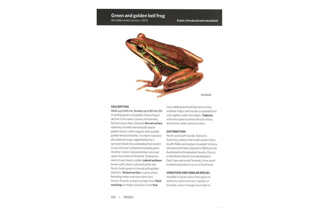 Reptiles & Amphibians of New Zealand - A Field Guide