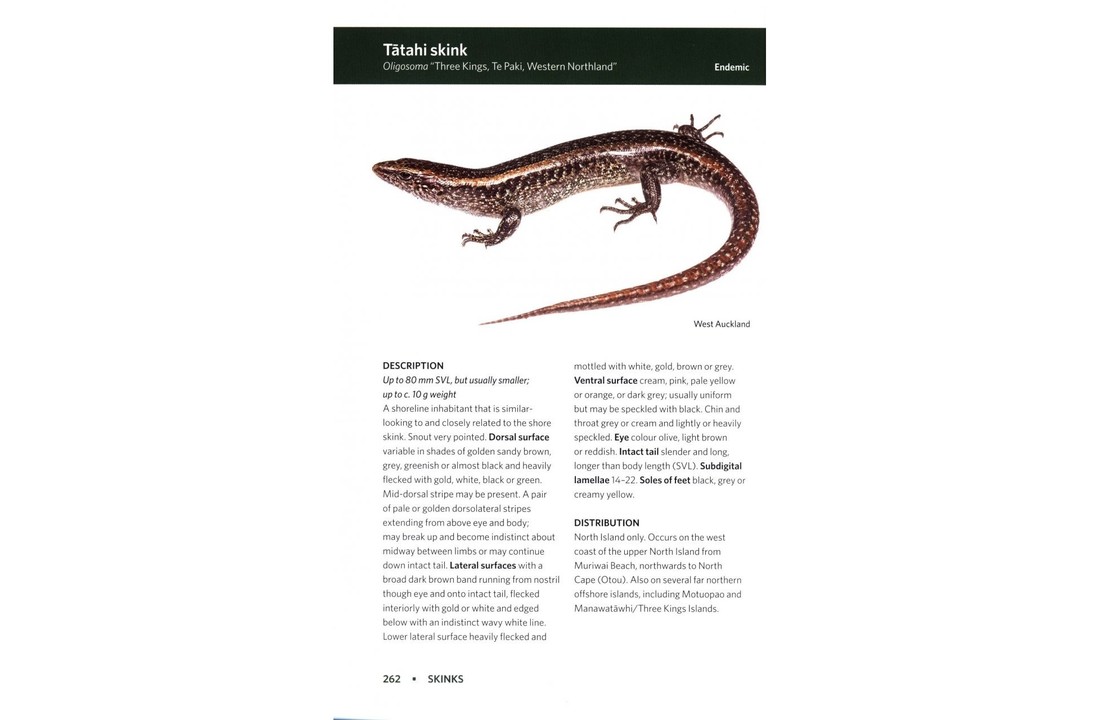 Reptiles & Amphibians of New Zealand - A Field Guide