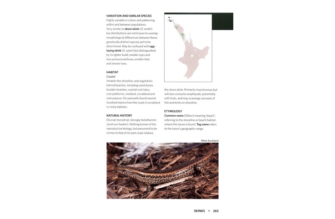 Reptiles & Amphibians of New Zealand - A Field Guide