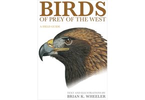 Birds of Prey of the West