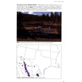 Birds of Prey of the West - A Field Guide