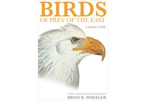 Birds of Prey of the East