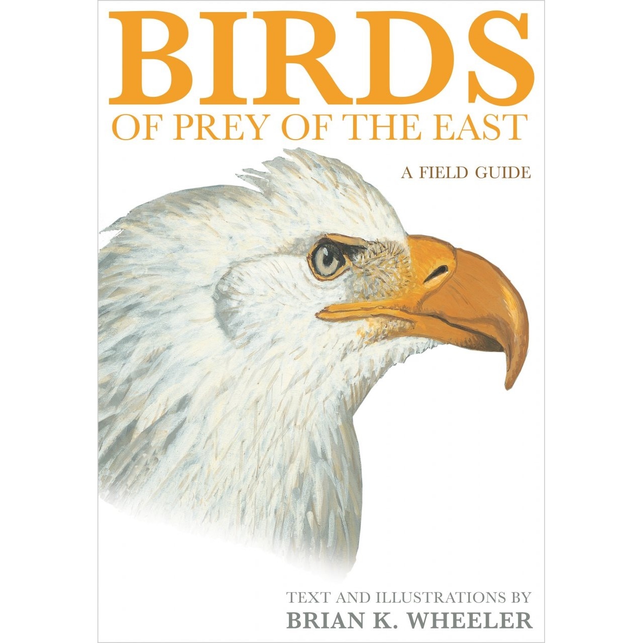 Birds of Prey of the East - A Field Guide